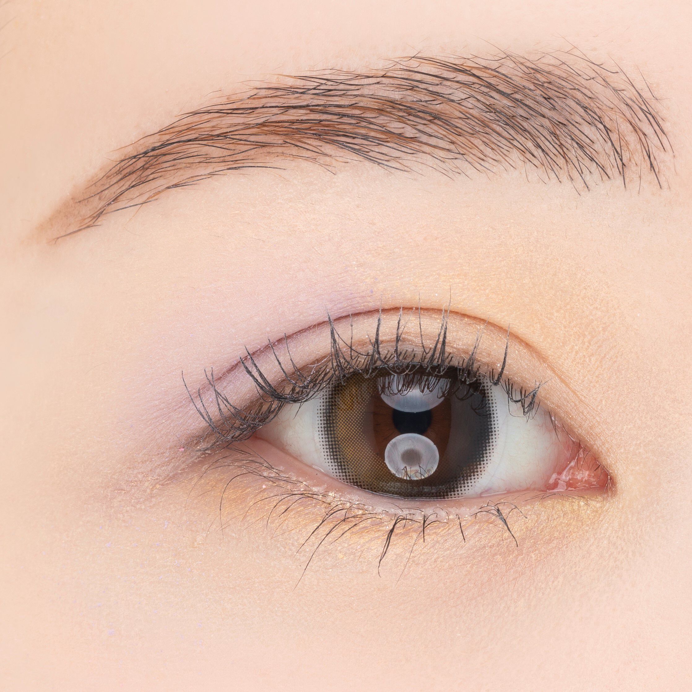 PAUL&JOE「ポール & ジョー アイデザインパレット ０６「ステンドグラス」」|アイシャドウ|