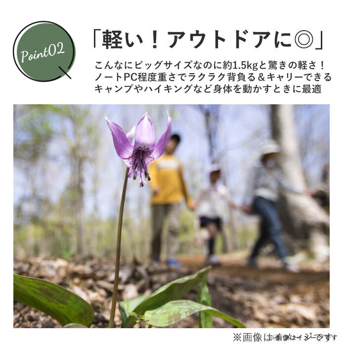 BACKYARD FAMILY「キャリーバッグ 機内持ち込み 通販 キャリーリュック リュックキャリーバッグ」|キャリーケース|