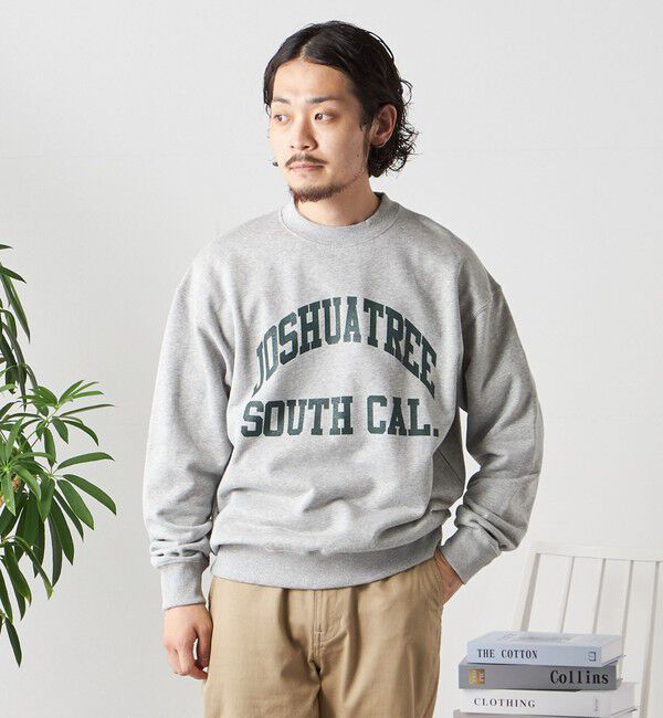 SHIPS any「【WEB限定】SHIPS any: NATIONAL PARK プリント スウェット 23AW◇」|スウェット・ジャージ|