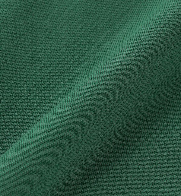 SHIPS any「【WEB限定】SHIPS any: NATIONAL PARK プリント スウェット 23AW◇」|スウェット・ジャージ|