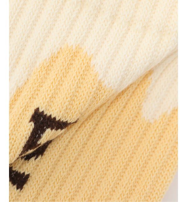 JOINT WORKS「ROSTER SOX / ロスターソックス BEER」|ソックス|