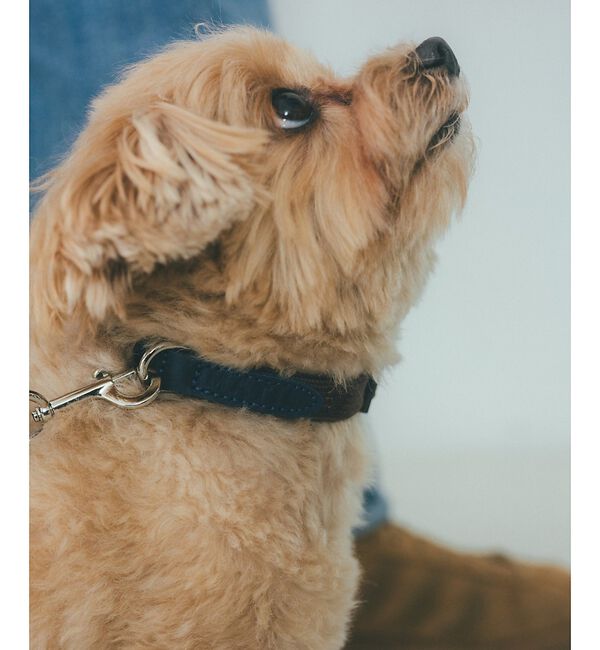LOWELL things「MATIE/小型犬/首輪【Direction by  有末 麻祐子】」|その他|ブラウン