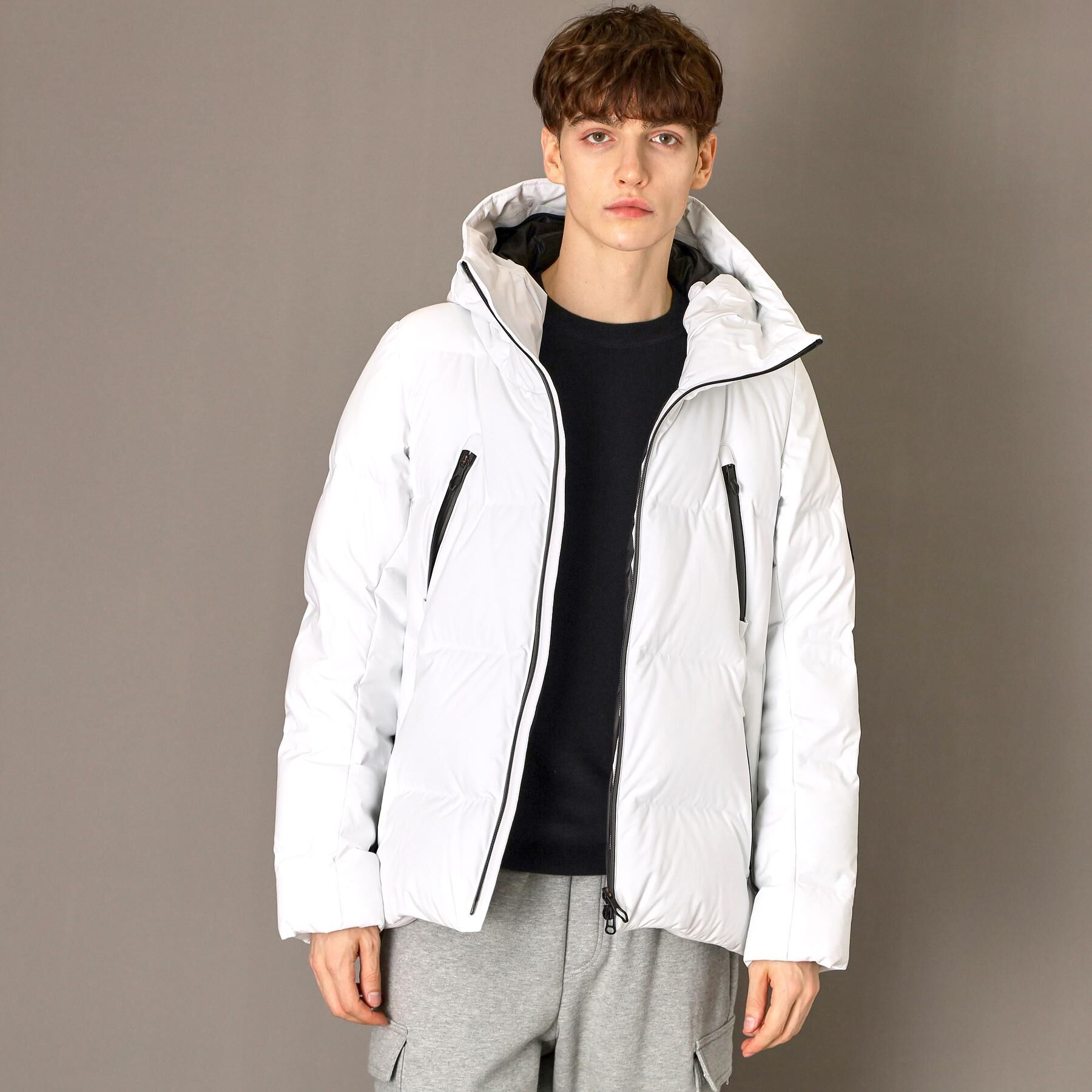 DRESSTERIOR「【700フィルパワー/高品質ダウン】ホワイトグース ホットメルトダウンMark2」|ダウン|