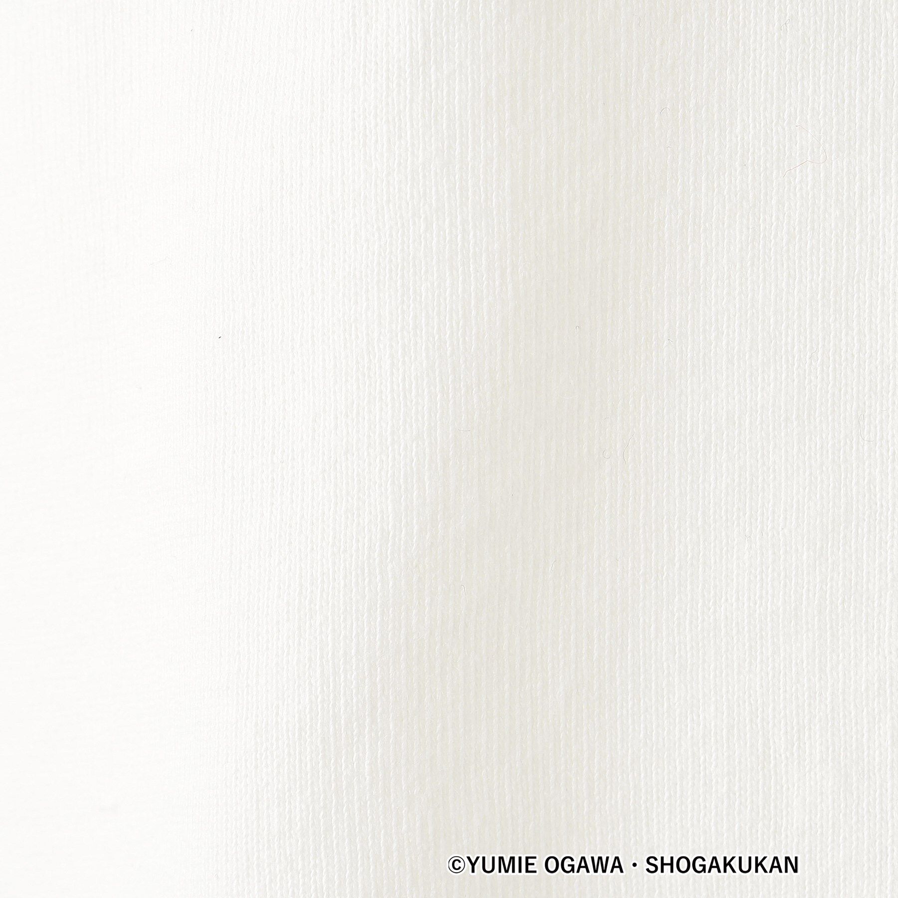 Dessin「【小学館の図鑑NEO　コラボ】恐竜Tシャツ」|Tシャツ・カットソー|