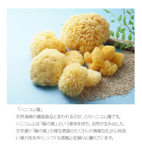 BACKYARD FAMILY「ボディスポンジ Bellini ベリーニ 通販 天然海綿スポンジ 天然海綿 ハニコム種 SA16」|入浴剤・バスグッズ|