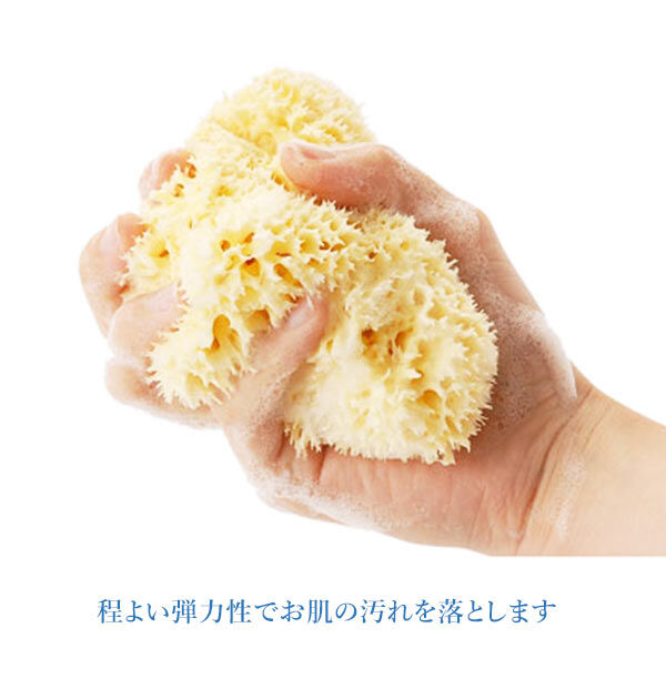 BACKYARD FAMILY「ボディスポンジ Bellini ベリーニ 通販 天然海綿スポンジ 天然海綿 ハニコム種 SA16」|入浴剤・バスグッズ|