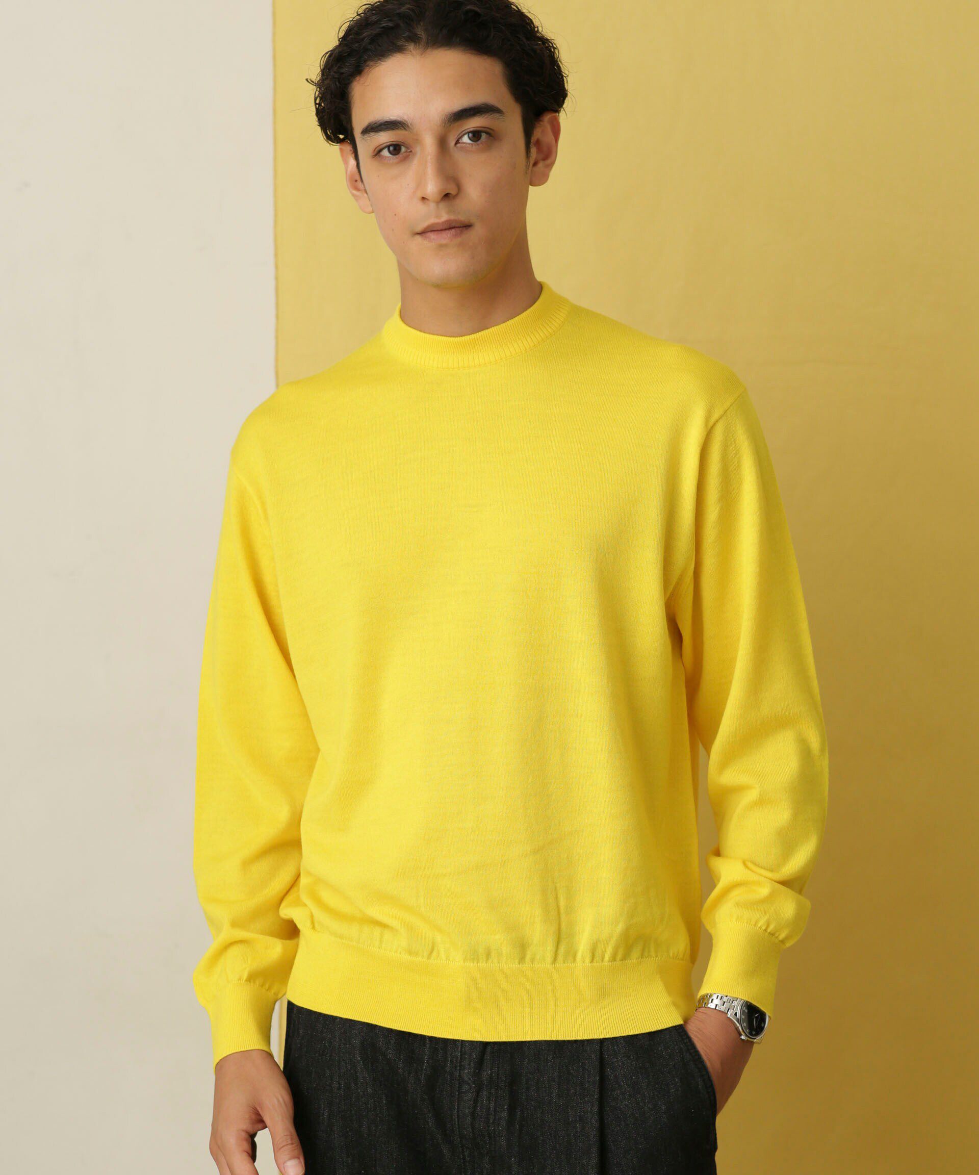 nano･universe「「毛玉レスニット」 ファインゲージクルーネック」|ニット・セーター|