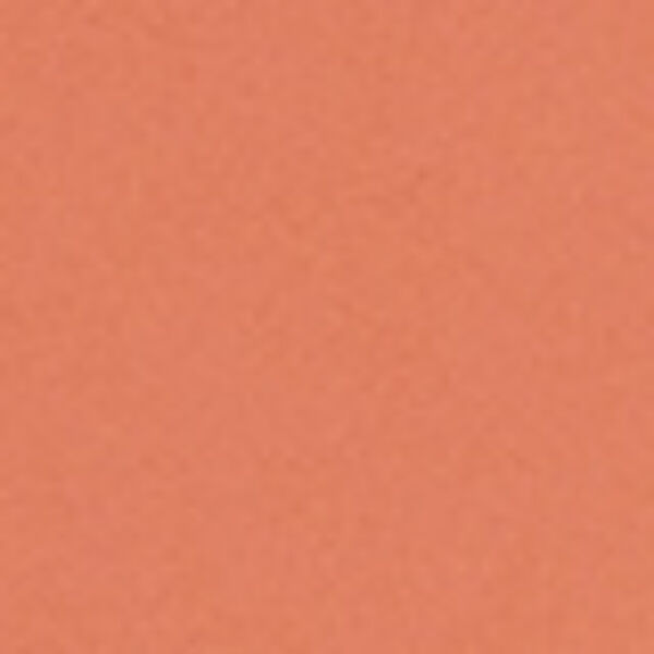  「SHEGLAM カラーブルームリキッドブラッシュ マットフィニッシュ ハッシュハッシュ (5.2mL)」|チーク|