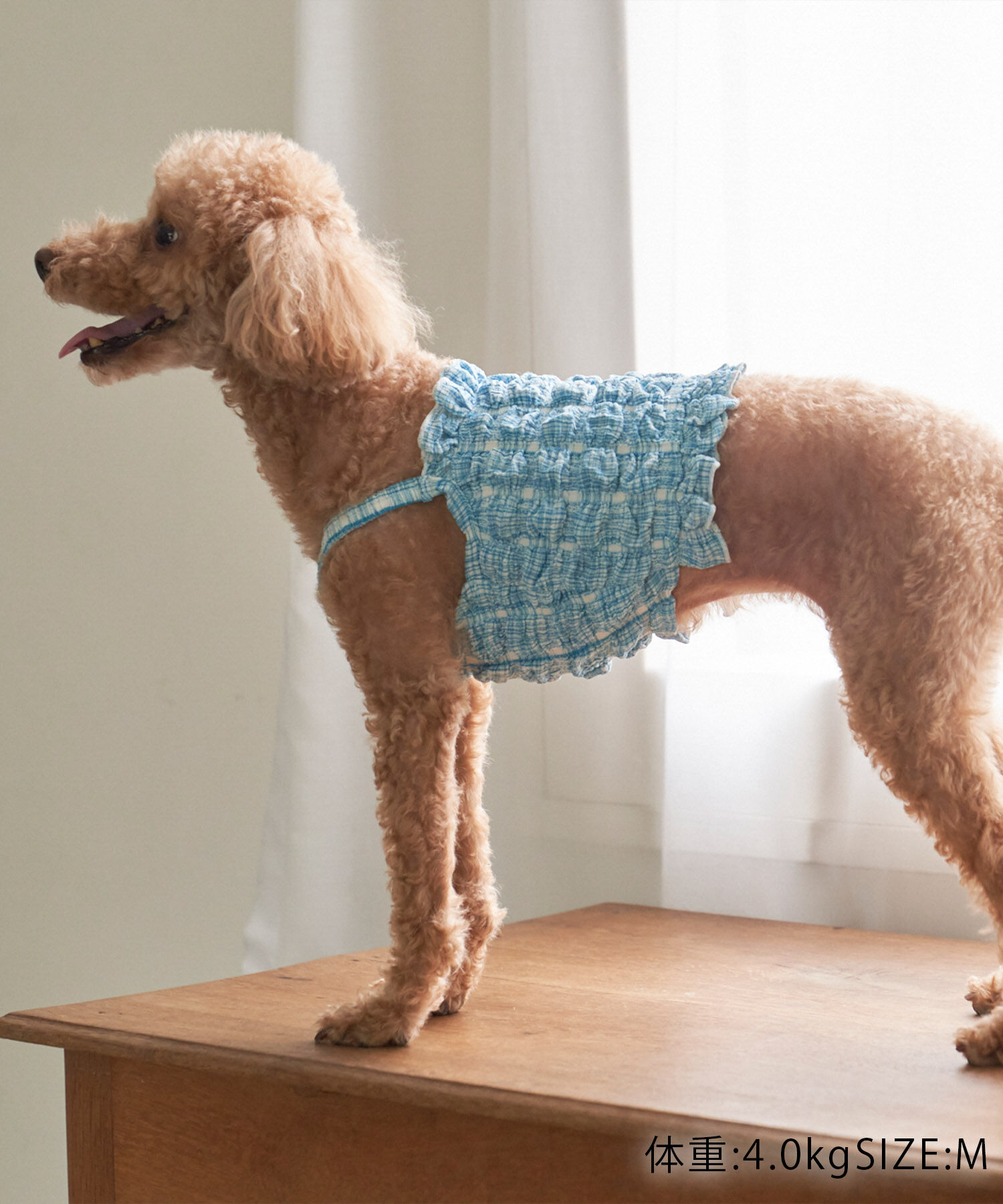 ROPE PICNIC PASSAGE「【DOG】ぽこぽこキャミワンピース」|その他|