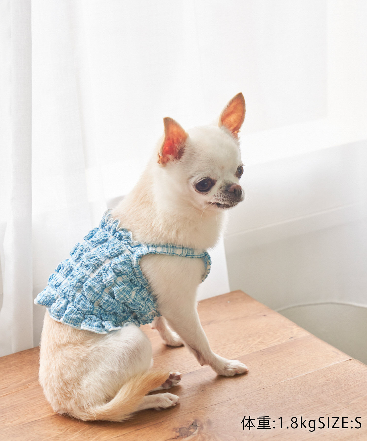 ROPE PICNIC PASSAGE「【DOG】ぽこぽこキャミワンピース」|その他|