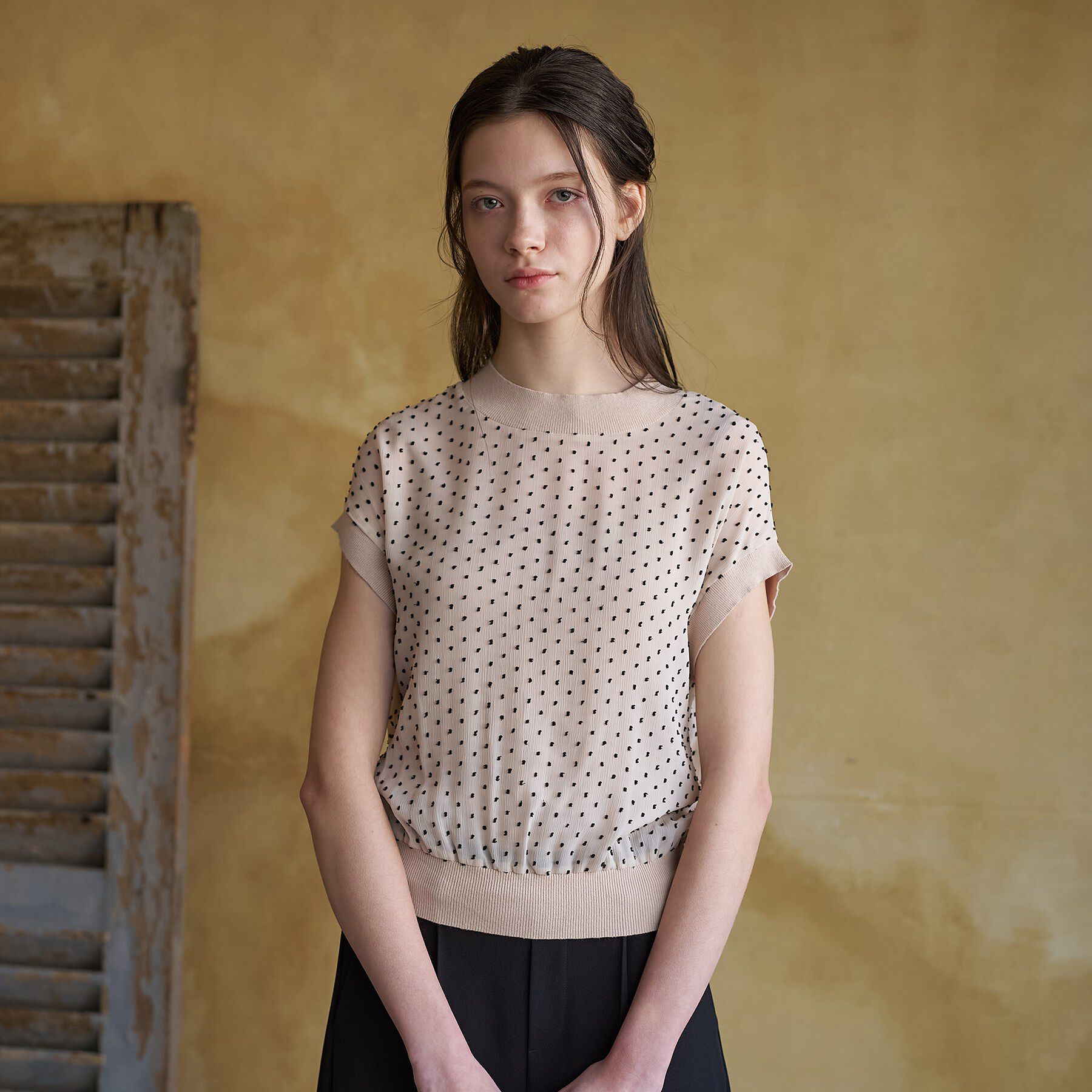 DRESSTERIOR「【ウォッシャブル/シアー】ドットジャカード プルオーバー」|シャツ・ブラウス|