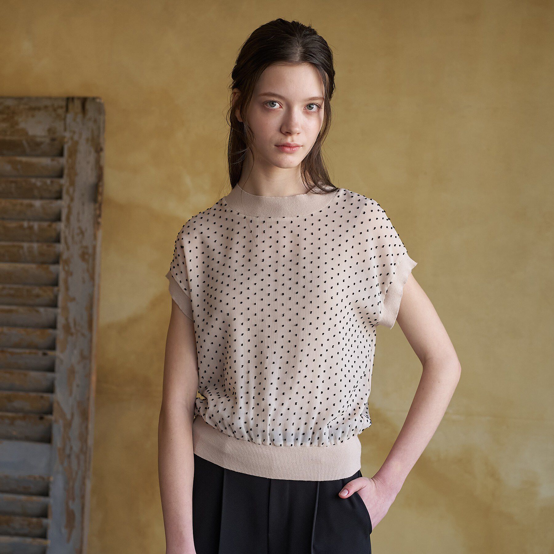 DRESSTERIOR「【ウォッシャブル/シアー】ドットジャカード プルオーバー」|シャツ・ブラウス|