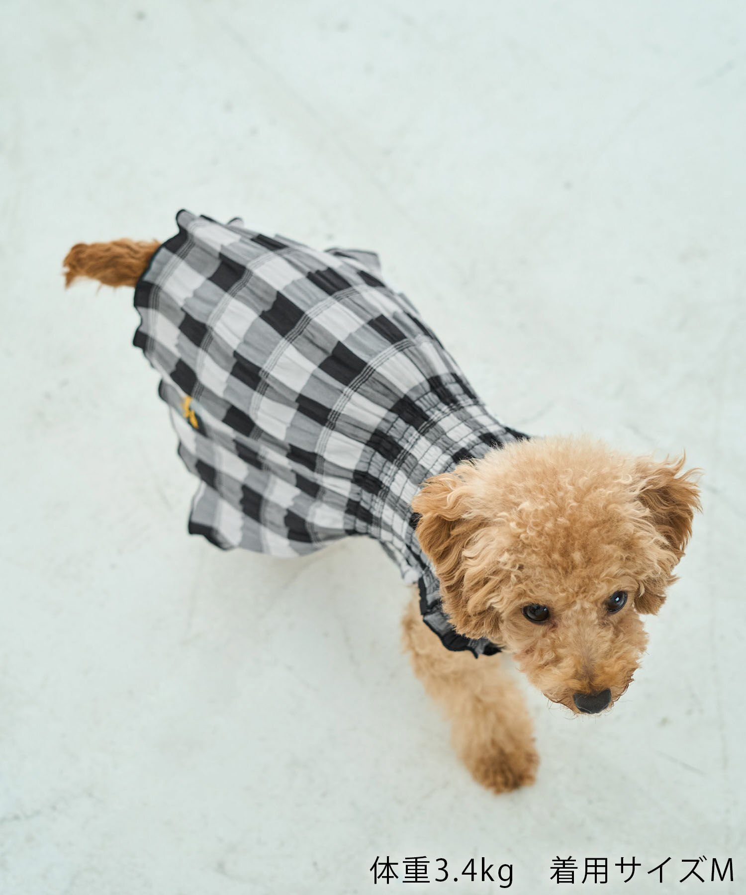 ROPE PICNIC PASSAGE「【DOG】ギンガムチェック柄ワンピース」|その他|