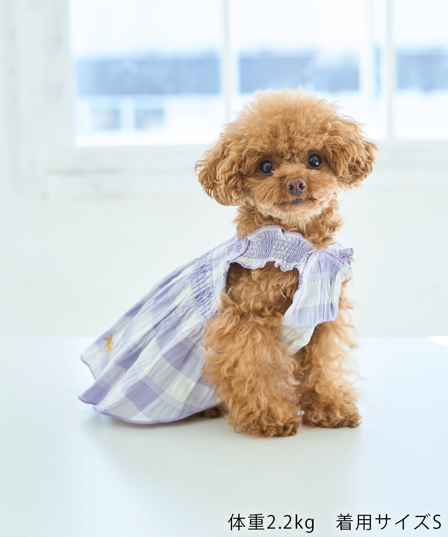 ROPE PICNIC PASSAGE「【DOG】ギンガムチェック柄ワンピース」|その他|