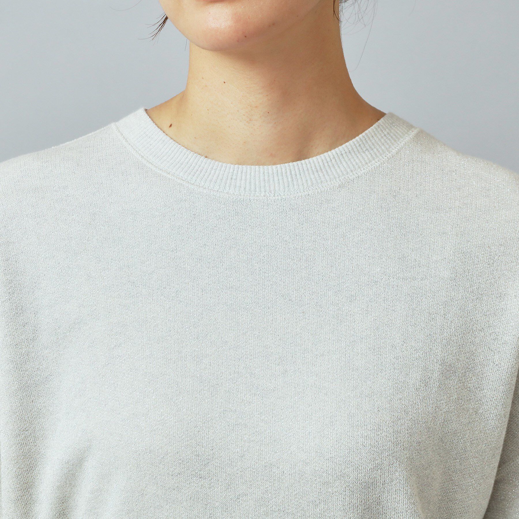 DRESSTERIOR「ラメ裏毛プルオーバー」|Tシャツ・カットソー|