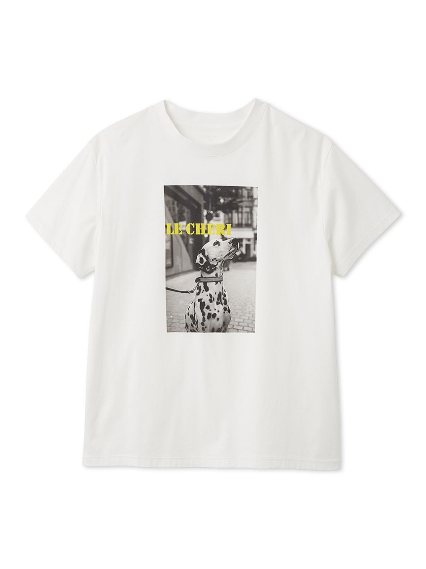 FRAY I.D「オーバーサイズフォトプリントTシャツ」|Tシャツ・カットソー|