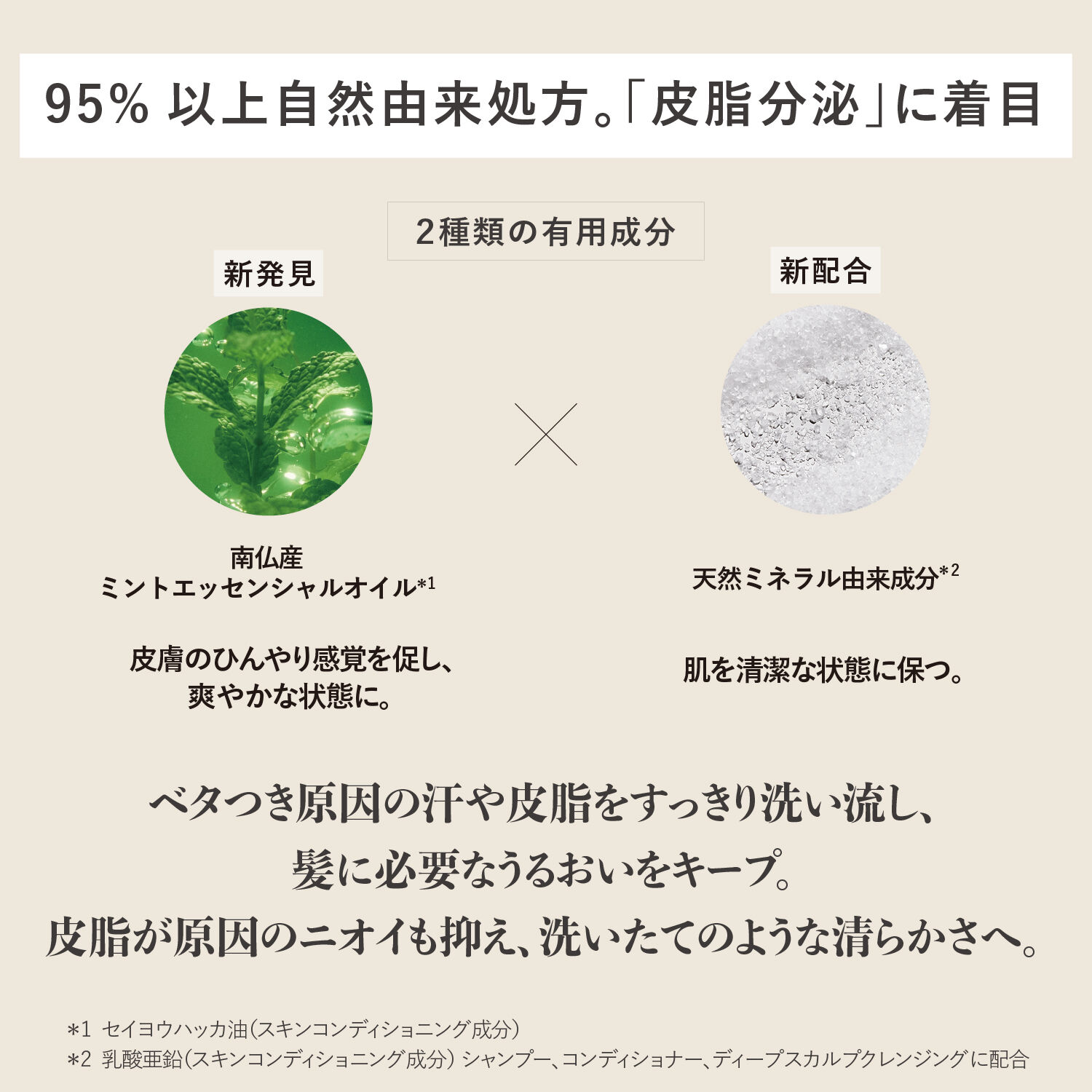 L&rsquo;OCCITANE「ピュアフレッシュ シャンプー」|シャンプー|