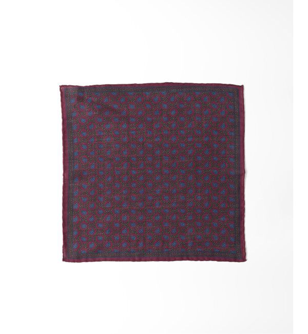 EDIFICE「【Stefano Bigi / ステファノ ビジ】ペイズリー チーフ」|マフラー|