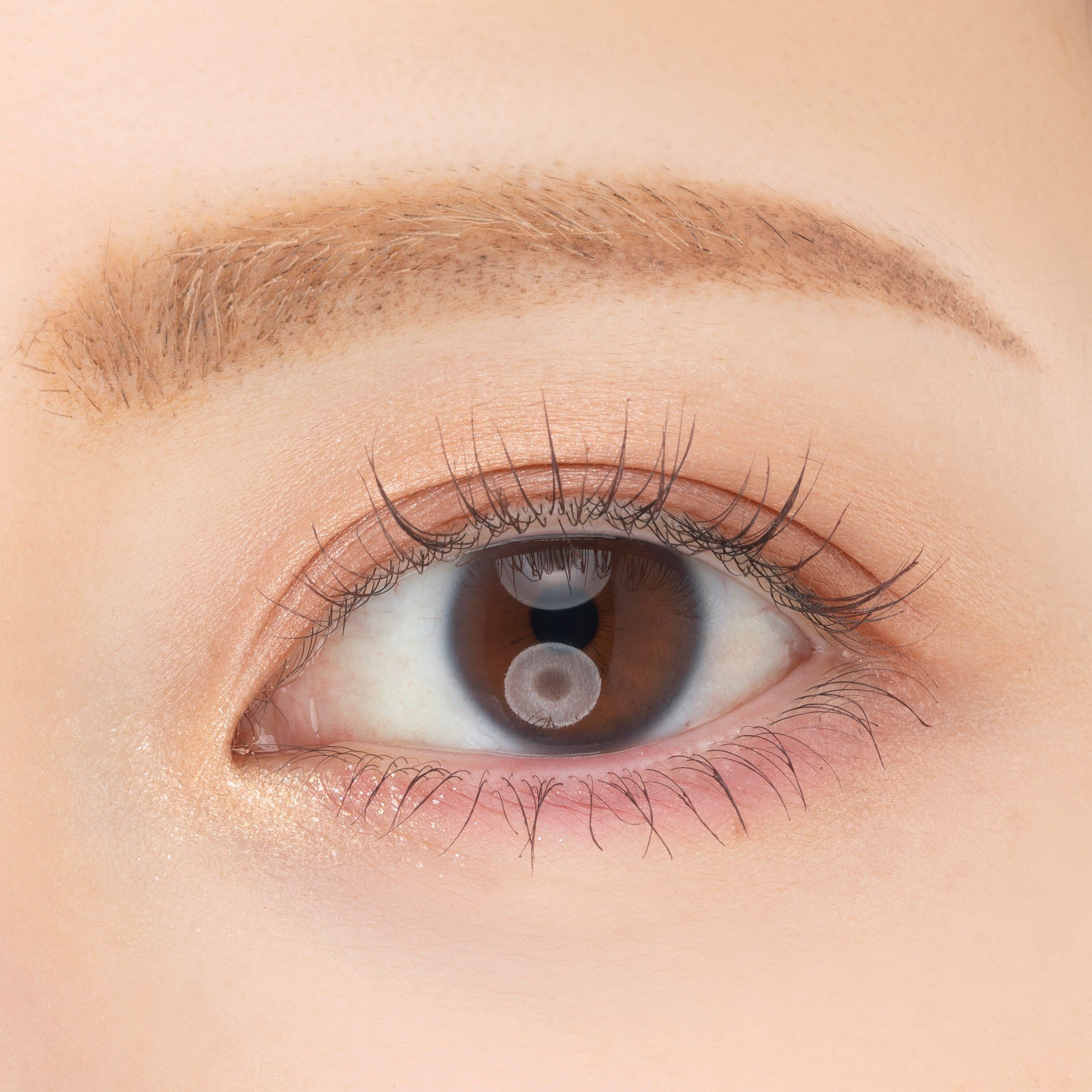 PAUL&JOE「ポール& ジョー アイデザインパレット ０１「カフェテラス」」|アイシャドウ|