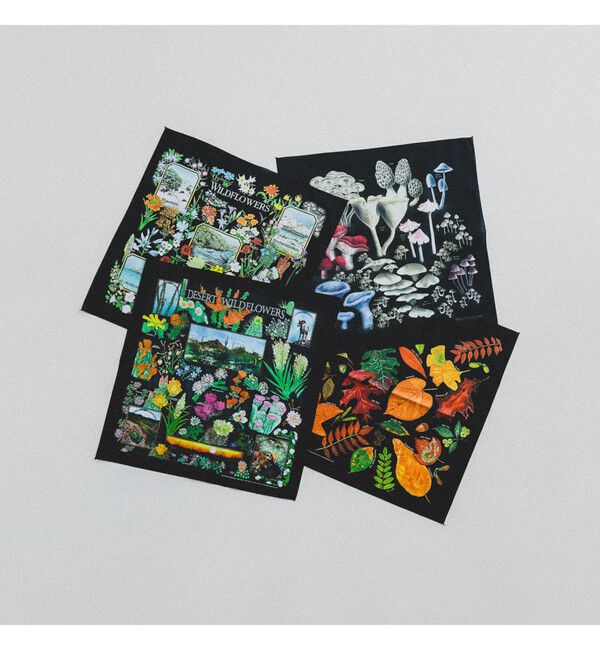 BEAMS「【別注】THE PRINTED IMAGE / BANDANA」|トイレタリー・ランドリーグッズ|