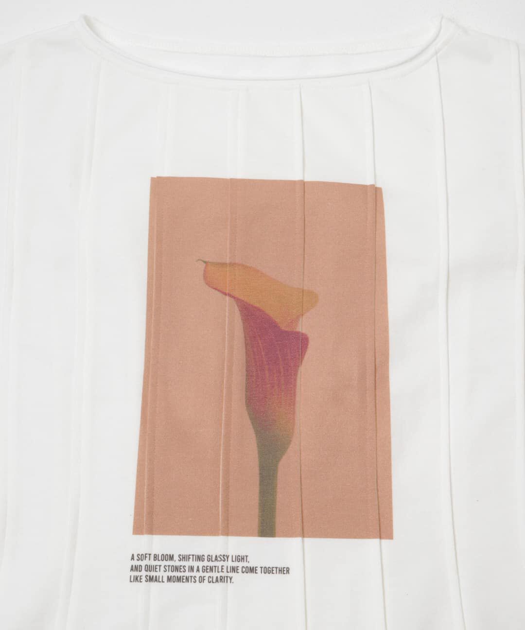  「ピンタックフォトプリントTEE」|Tシャツ・カットソー|