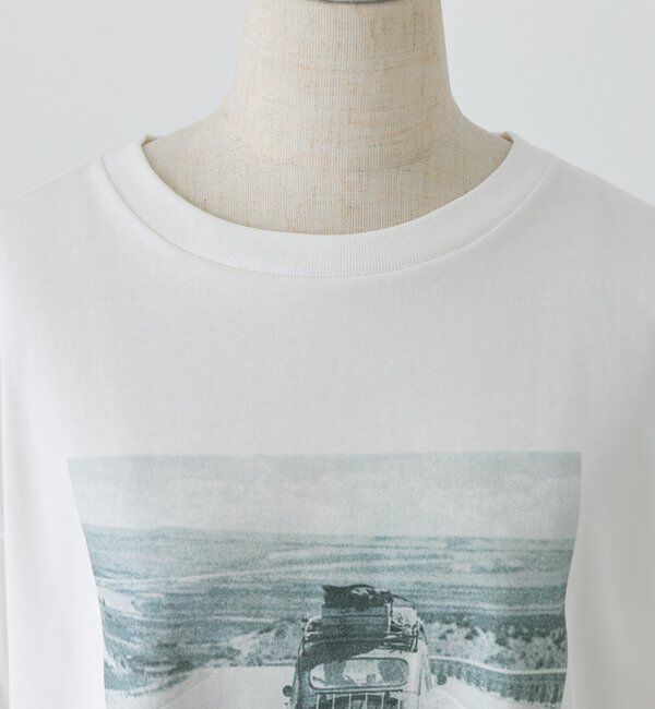  「アソートフォトプリントTシャツ」|Tシャツ・カットソー|