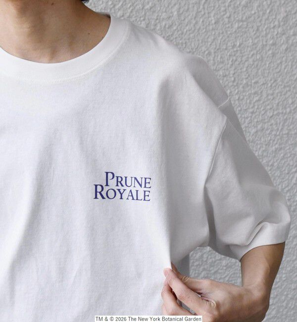 SHIPS any「【SHIPS any別注】NYBG: ボタニカル プリント リラックス Tシャツ◇」|Tシャツ・カットソー|