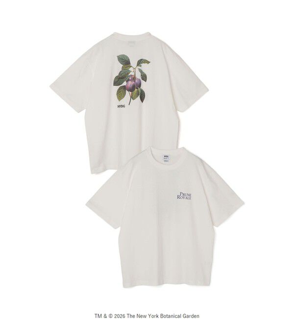 SHIPS any「【SHIPS any別注】NYBG: ボタニカル プリント リラックス Tシャツ◇」|Tシャツ・カットソー|