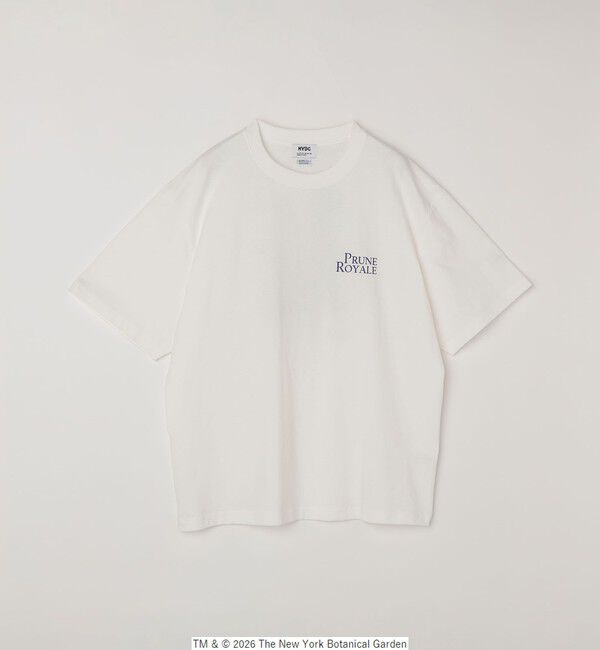 SHIPS any「【SHIPS any別注】NYBG: ボタニカル プリント リラックス Tシャツ◇」|Tシャツ・カットソー|