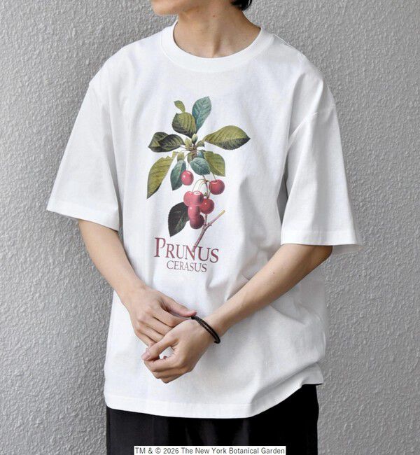 SHIPS any「【SHIPS any別注】NYBG: ボタニカル プリント リラックス Tシャツ◇」|Tシャツ・カットソー|ホワイトその他