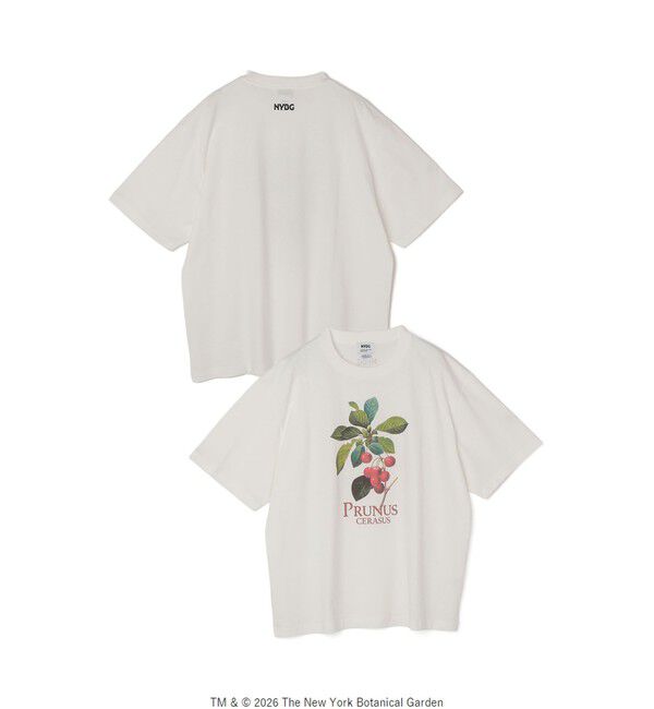 SHIPS any「【SHIPS any別注】NYBG: ボタニカル プリント リラックス Tシャツ◇」|Tシャツ・カットソー|