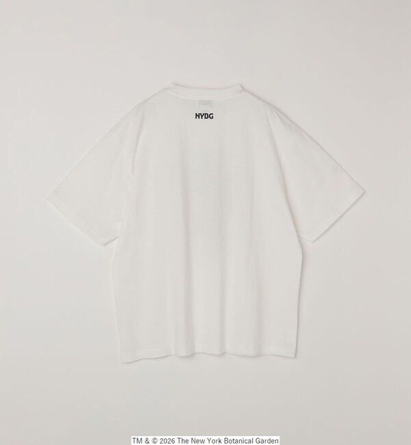 SHIPS any「【SHIPS any別注】NYBG: ボタニカル プリント リラックス Tシャツ◇」|Tシャツ・カットソー|