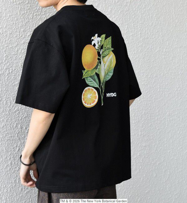 SHIPS any「【SHIPS any別注】NYBG: ボタニカル プリント リラックス Tシャツ◇」|Tシャツ・カットソー|ブラック