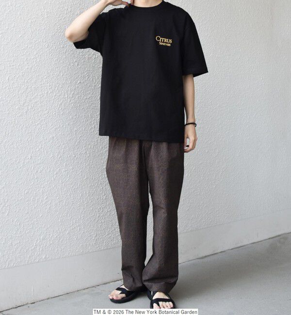 SHIPS any「【SHIPS any別注】NYBG: ボタニカル プリント リラックス Tシャツ◇」|Tシャツ・カットソー|