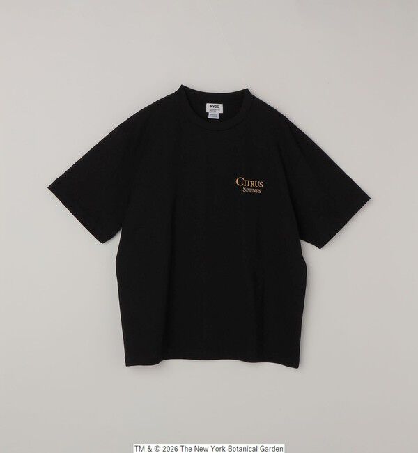 SHIPS any「【SHIPS any別注】NYBG: ボタニカル プリント リラックス Tシャツ◇」|Tシャツ・カットソー|