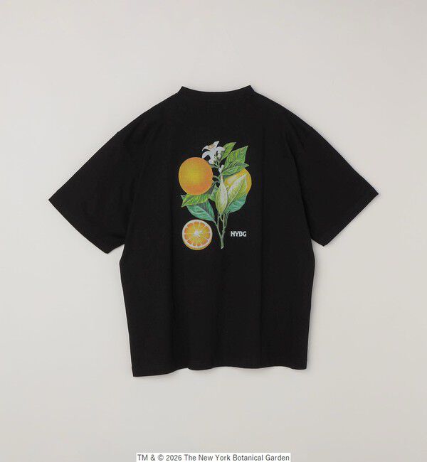 SHIPS any「【SHIPS any別注】NYBG: ボタニカル プリント リラックス Tシャツ◇」|Tシャツ・カットソー|