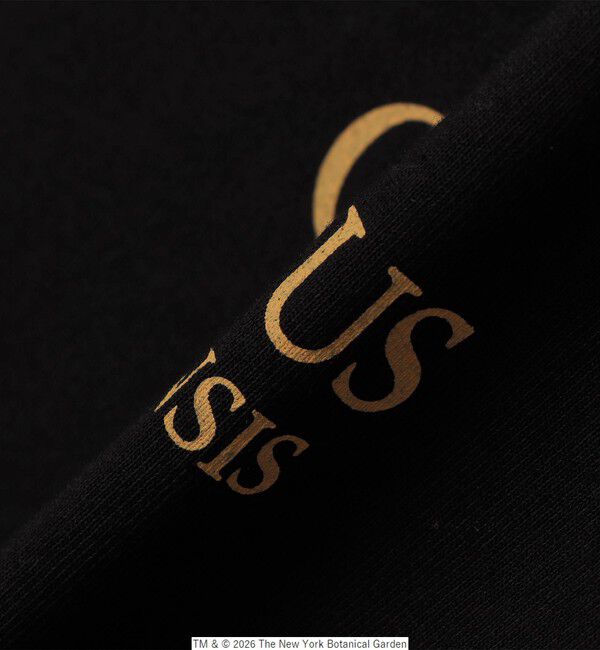 SHIPS any「【SHIPS any別注】NYBG: ボタニカル プリント リラックス Tシャツ◇」|Tシャツ・カットソー|