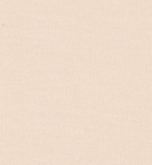 GALERIE VIE「ガーゼフライス ボートネックプルオーバー」|Tシャツ・カットソー|