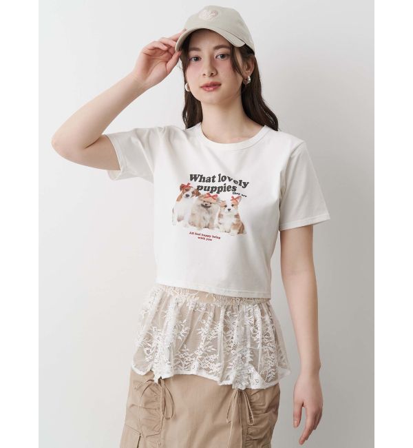 CALNAMUR「ASSORT PRINT TEE/アソートプリントTシャツ」|Tシャツ・カットソー|