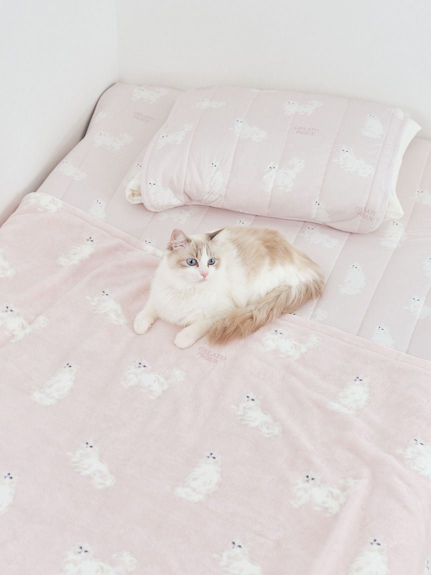 gelato pique Sleep「【Sleep】【接触冷感】CAT柄敷きパッド（シングル）」|その他|