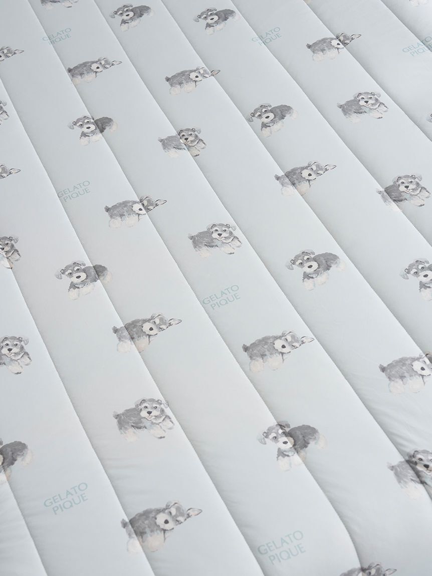 gelato pique Sleep「【Sleep】【接触冷感】DOG柄敷きパッド（シングル）」|その他|