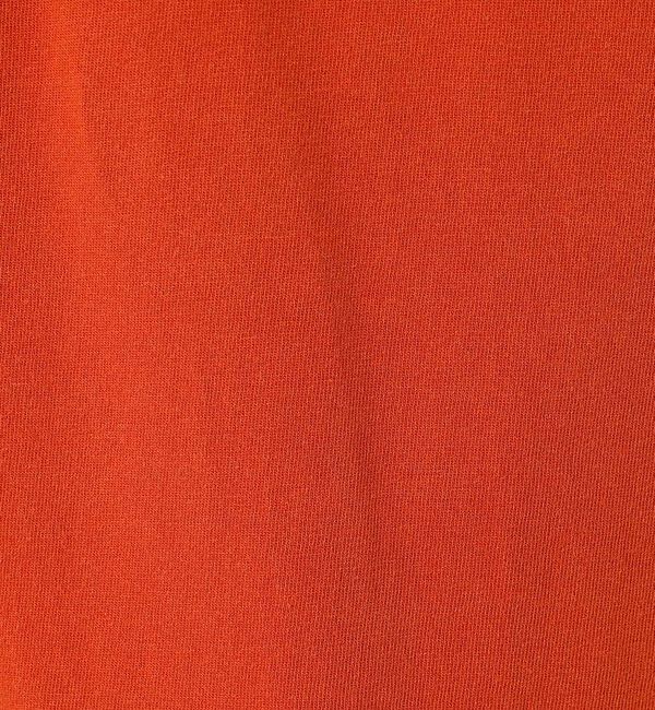 Rouge vif「【REMI RELIEF / レミレリーフ】LW加工T "ILLINOIS" /」|Tシャツ・カットソー|