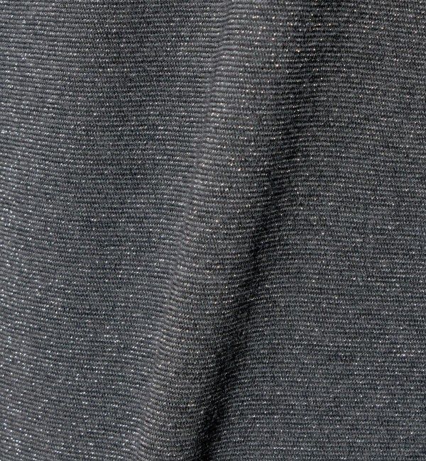 UNITED ARROWS「ラメ テンジク Tシャツ」|Tシャツ・カットソー|