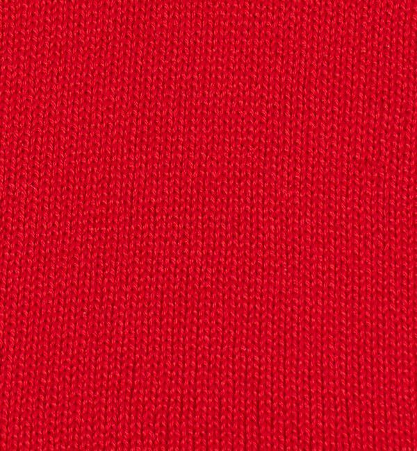 UNITED ARROWS「＜YUQRI＞SILKY リブ ソックス」|ソックス|