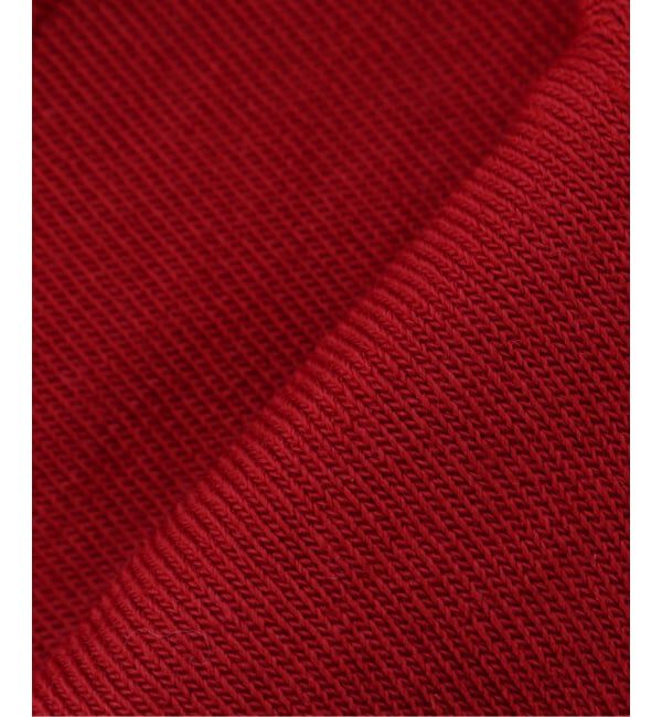 EDIFICE「FALKE(ファルケ) #14468_Clima Wool ソックス」|ソックス|