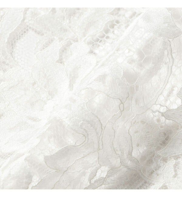 Demi-Luxe BEAMS 「リバーレース ブラウス」|シャツ・ブラウス|