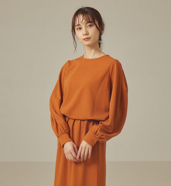 abahouse mavie「【前後着用可】カットジョーゼット2WAYプルオーバー」|Tシャツ・カットソー|