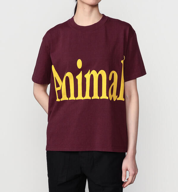  「STUDIO WEAREALLANIMALS | Animals Letter 半袖Tシャツ WOMEN」|Tシャツ・カットソー|PURPLE系1