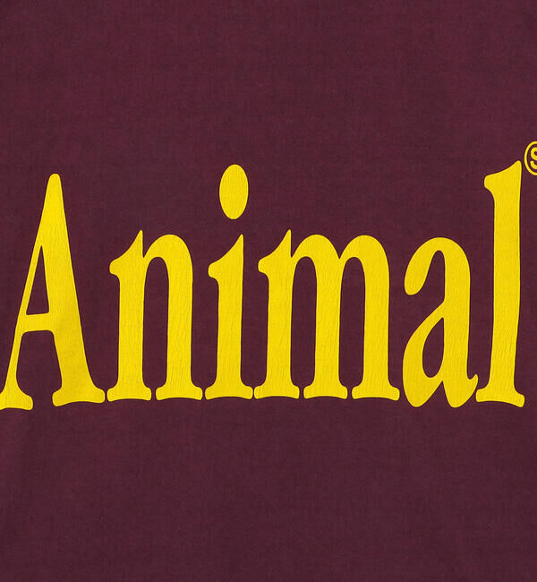  「STUDIO WEAREALLANIMALS | Animals Letter 半袖Tシャツ WOMEN」|Tシャツ・カットソー|