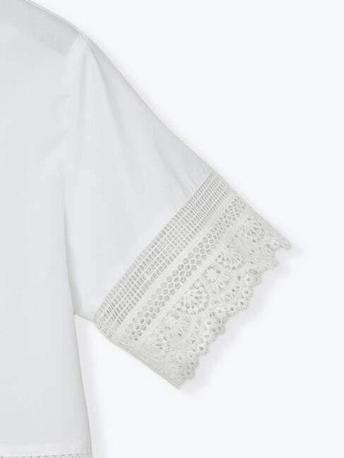 Te chichi「レースヘムクロップトシャツ」|シャツ・ブラウス|